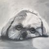 abby