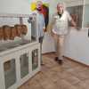 IMG-20250427-WA0017